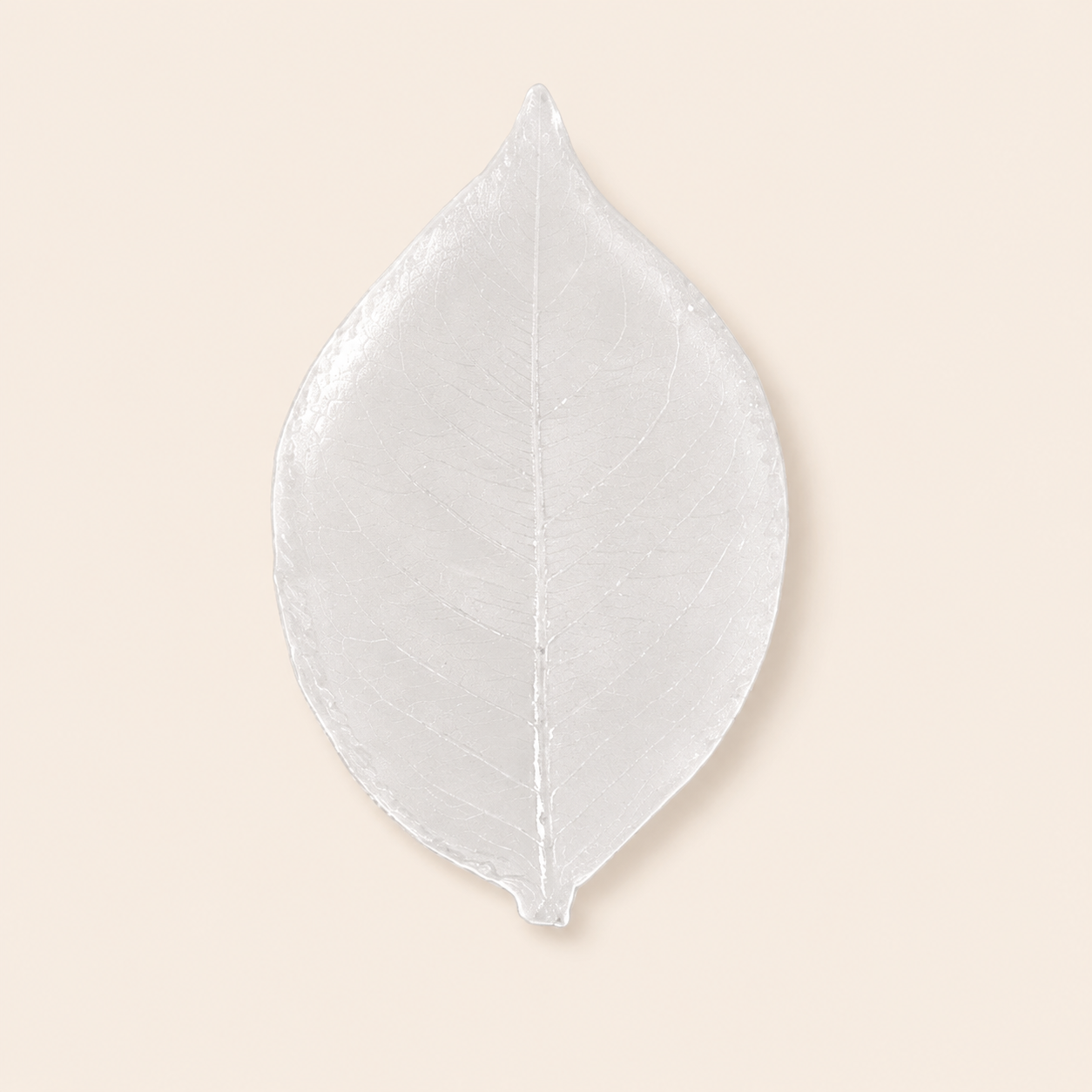 Fine Leaf Vein Resin Clay Mold product photo